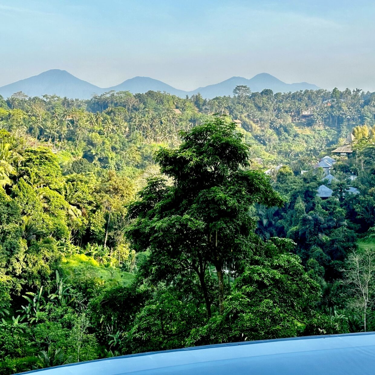 scenery 2