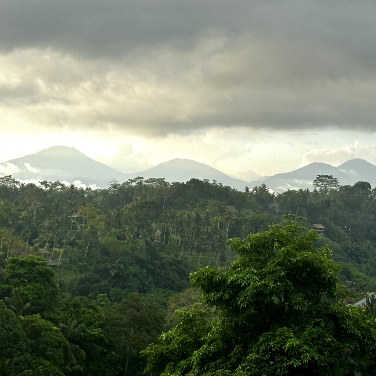 scenery 3